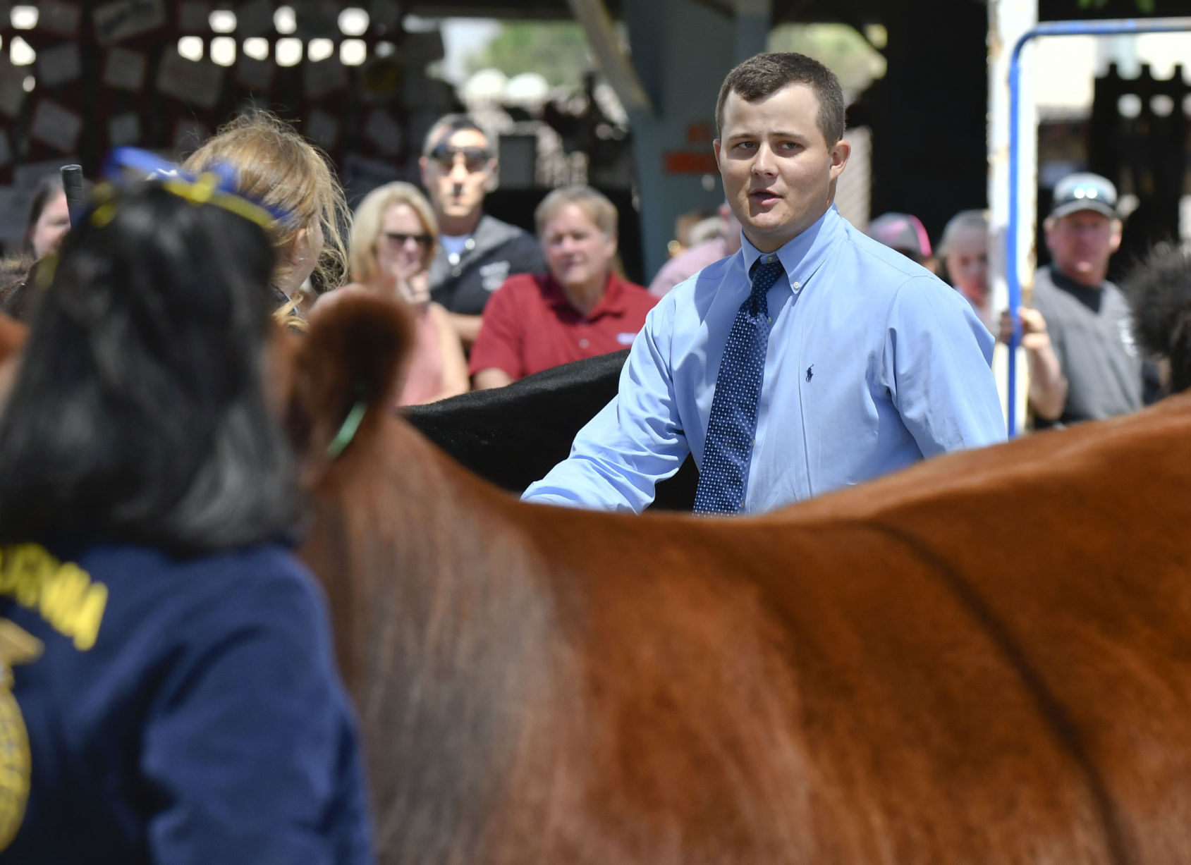 071018 County Fair steer judging 08.jpg